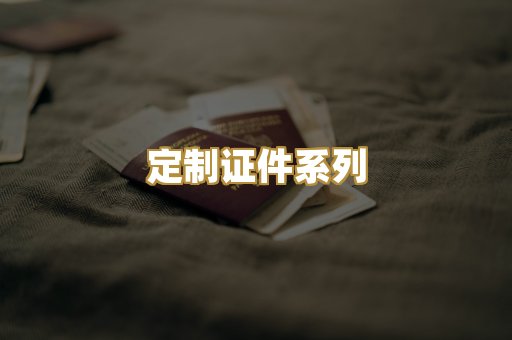 定制证件系列