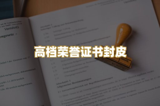 机动车驾驶证排版